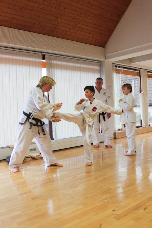 Prf_Gessertsh_Taekwondo-7