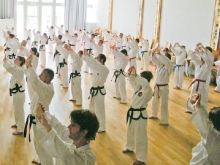 tkd_pfingstlehrgang_2012-01