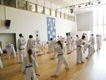 tkd_pfingstlehrgang_2012-17