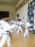 tkd_pfingstlehrgang_2012-44