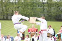 Taekwondo_Diedorf_1729