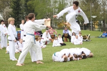 Taekwondo_Diedorf_1988