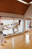Prf_Gessertsh_Taekwondo-1