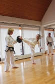 Prf_Gessertsh_Taekwondo-5