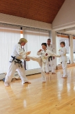 Prf_Gessertsh_Taekwondo-7