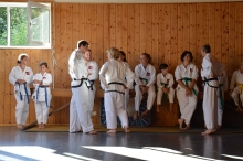 Taekwondo_Haering_Biburg-1