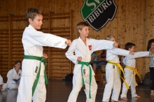 Taekwondo_Haering_Biburg-12