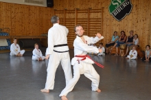 Taekwondo_Haering_Biburg-17