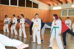Taekwondo Training in Biburg